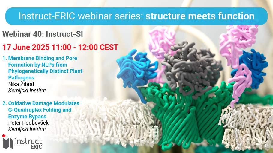 Structure Meets Function: Instruct-Slovenia
